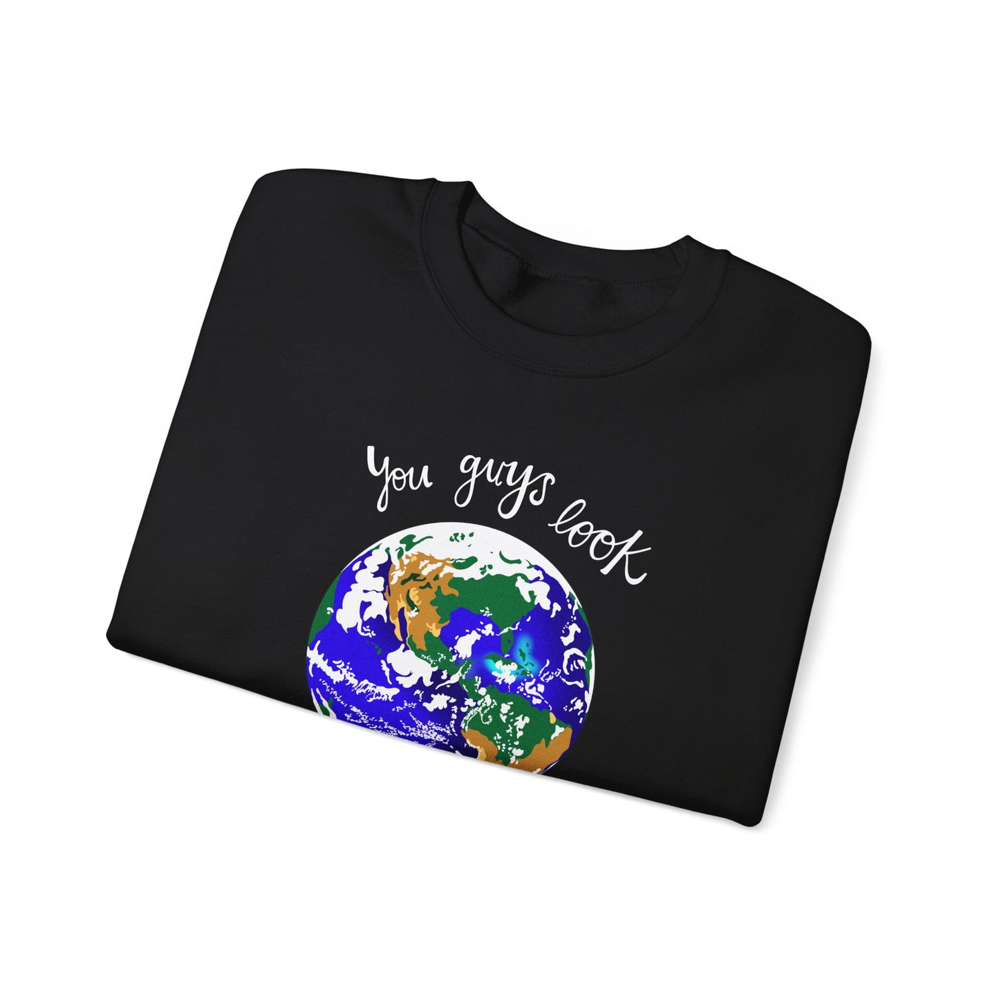 You Guys Look Great - NASA Artemis - Crewneck